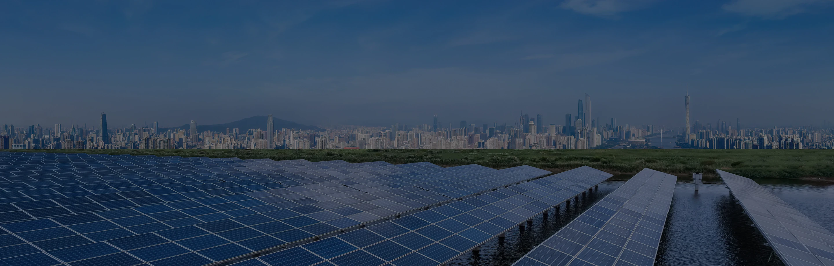 Innovation for Sustainability