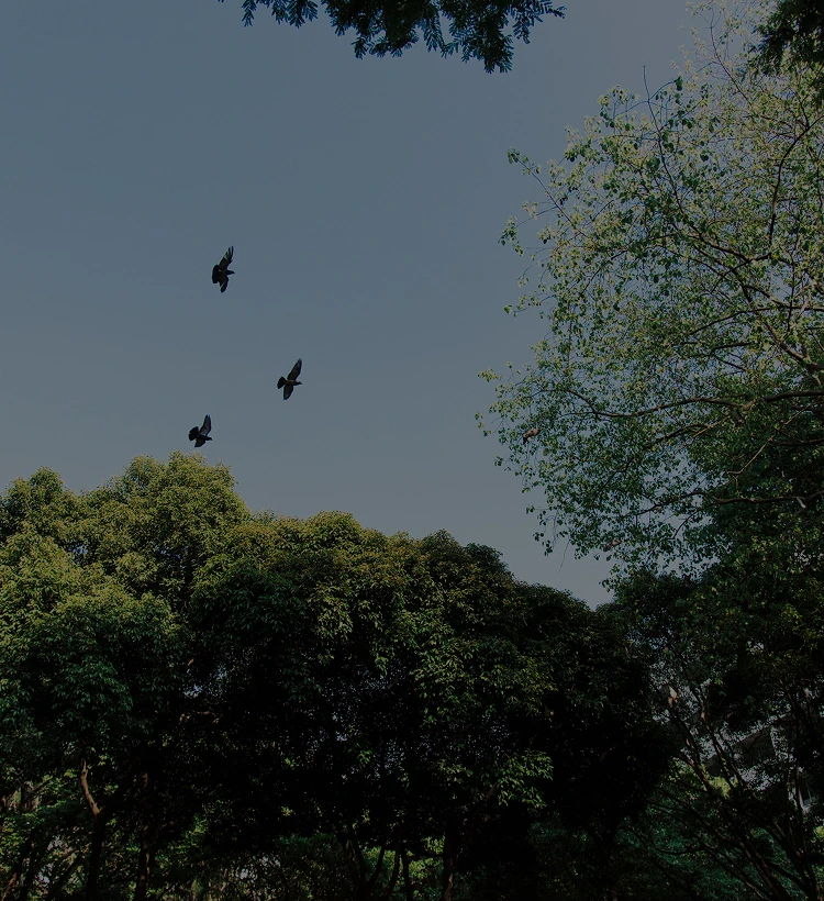 Biodiversity