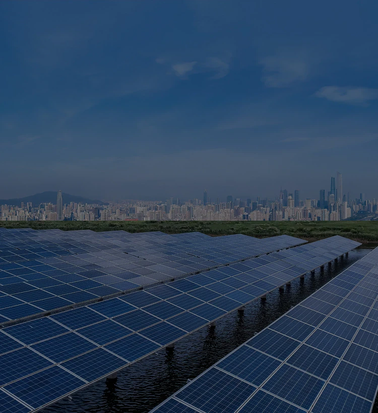 Innovation for Sustainability