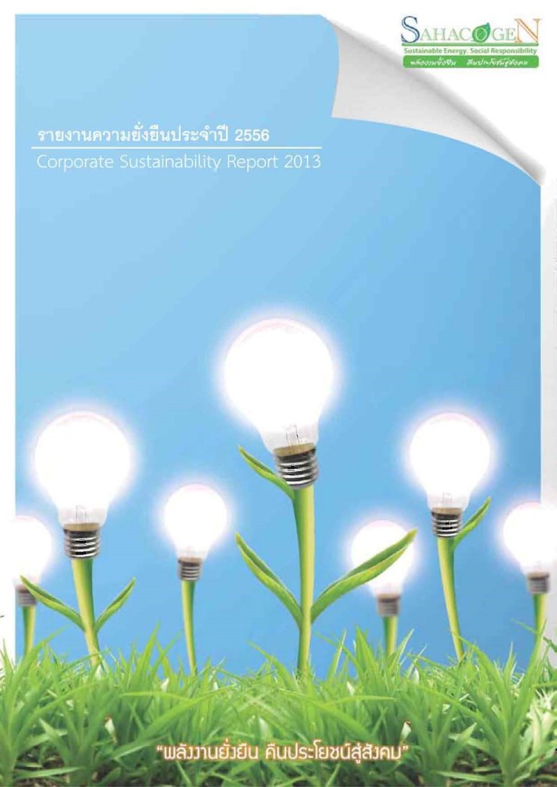 Sustainable Development Report 2013