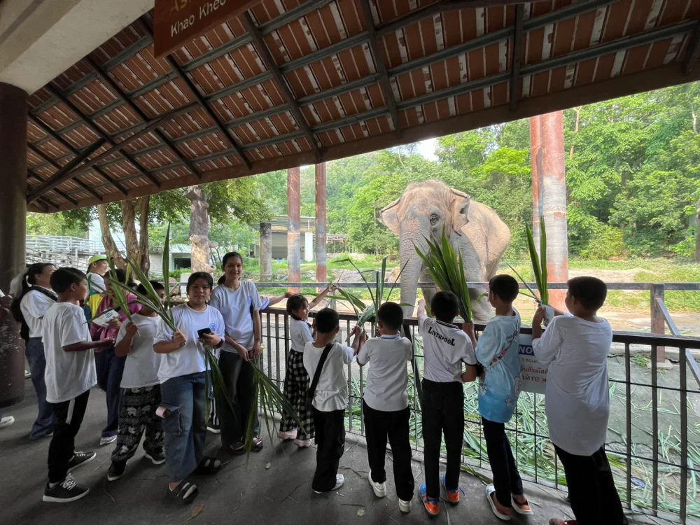 Ratch Pathana Energy Empowers Young Village Health Volunteers for the 16th Consecutive Year, Promoting Children's Rights and Biodiversity Conservation