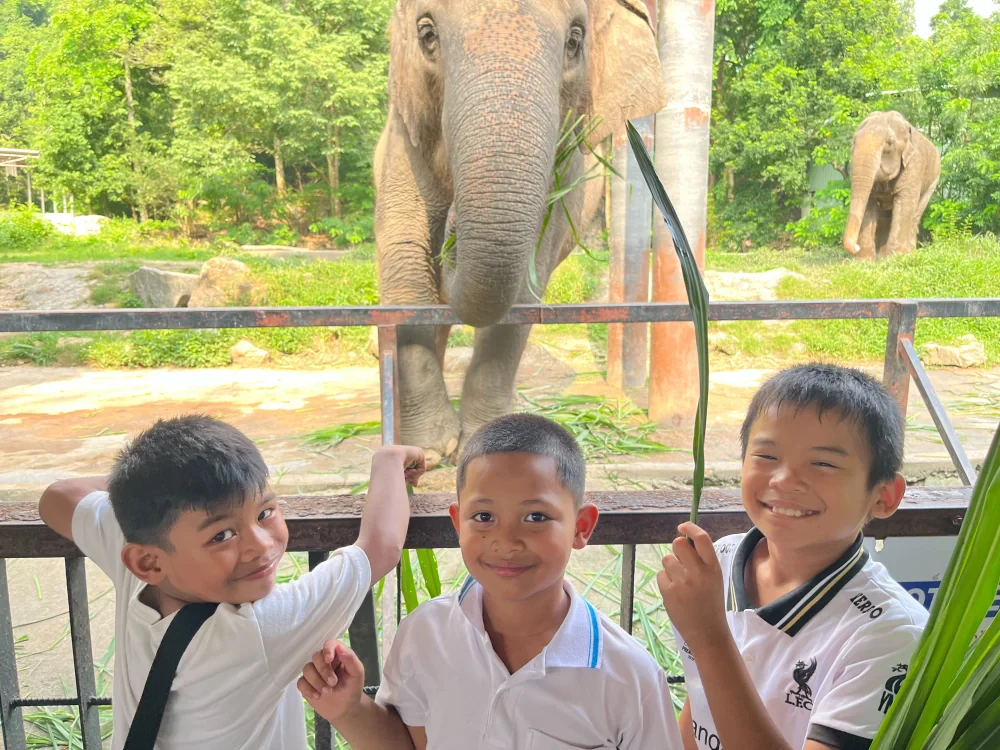 Ratch Pathana Energy Empowers Young Village Health Volunteers for the 16th Consecutive Year, Promoting Children's Rights and Biodiversity Conservation
